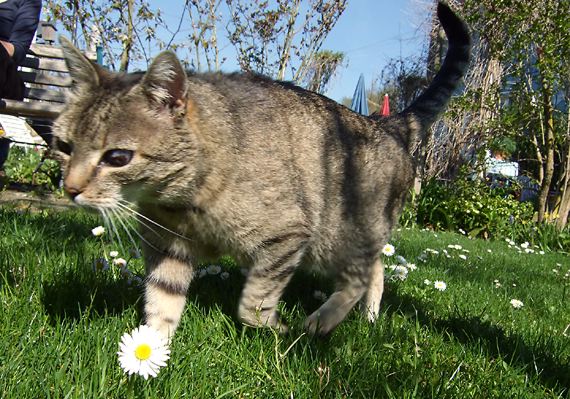 Uwe tappt in den Frühling